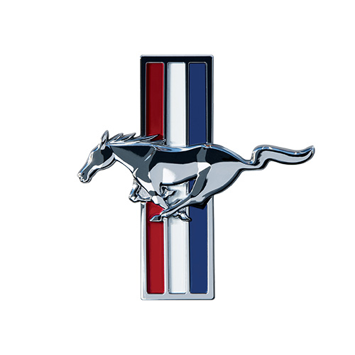 THE MUSTANG Welkom